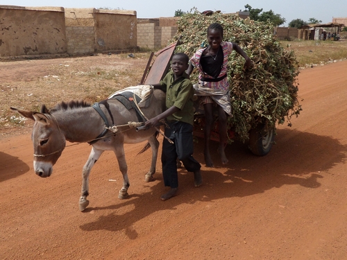 Burkina Oct Nov 2014 450 500p
